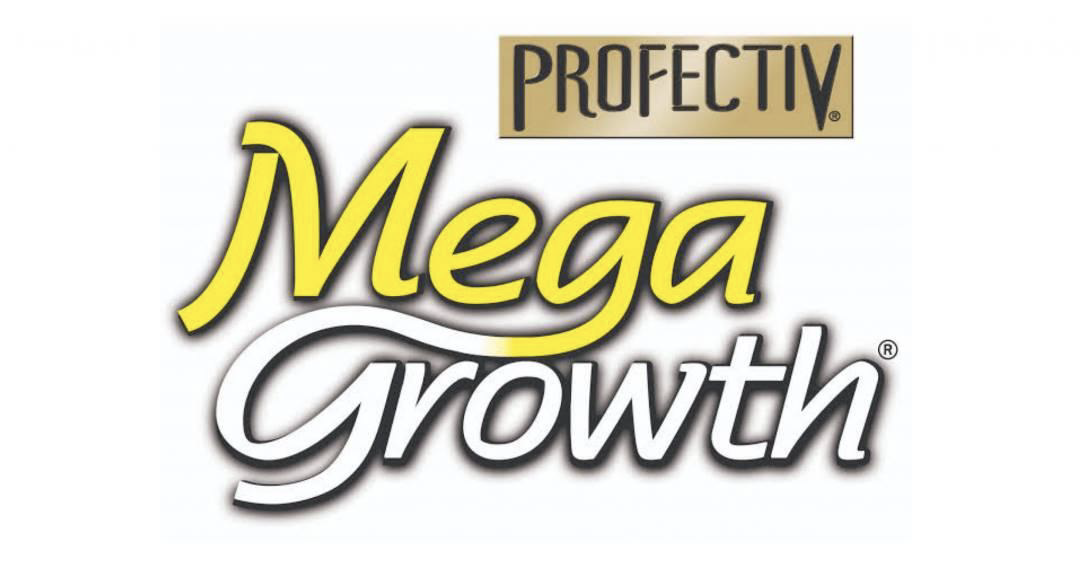 Profectiv Mega Growth